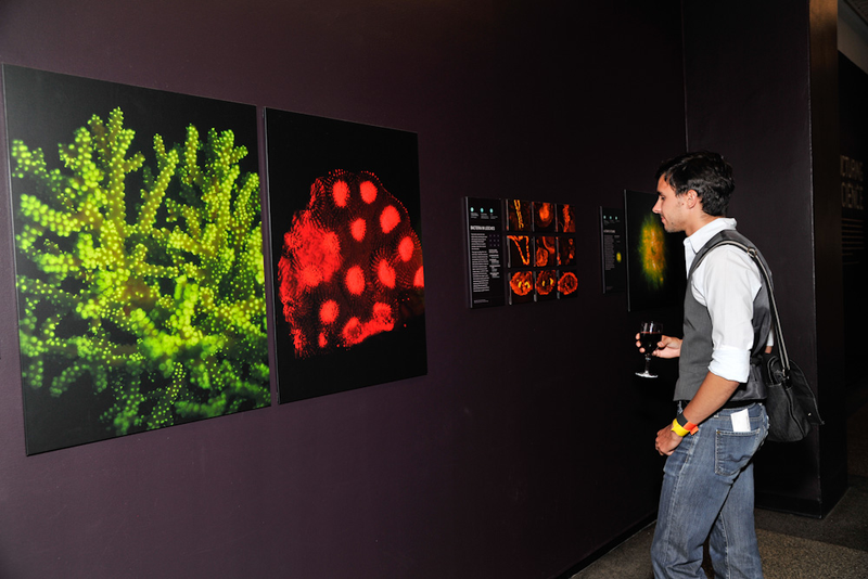 Illustration for article titled AMNH Tweetup Gallery